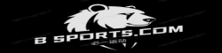 b体育sports